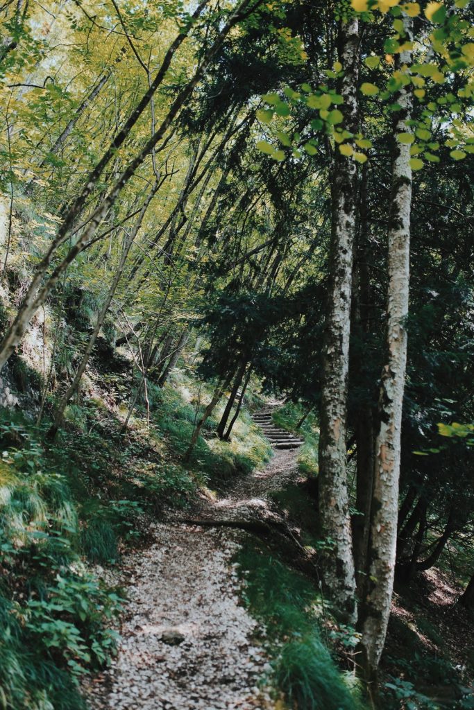 idee per un weekend nelle dolomiti bellunesi