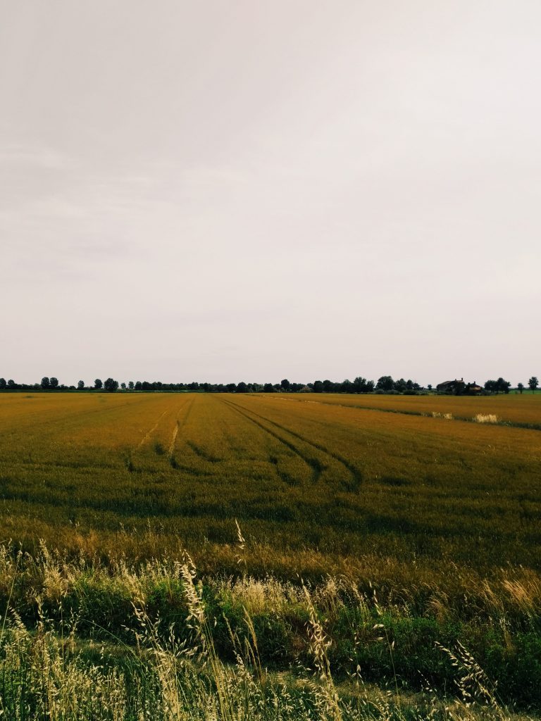 scoprire il veneto in bici