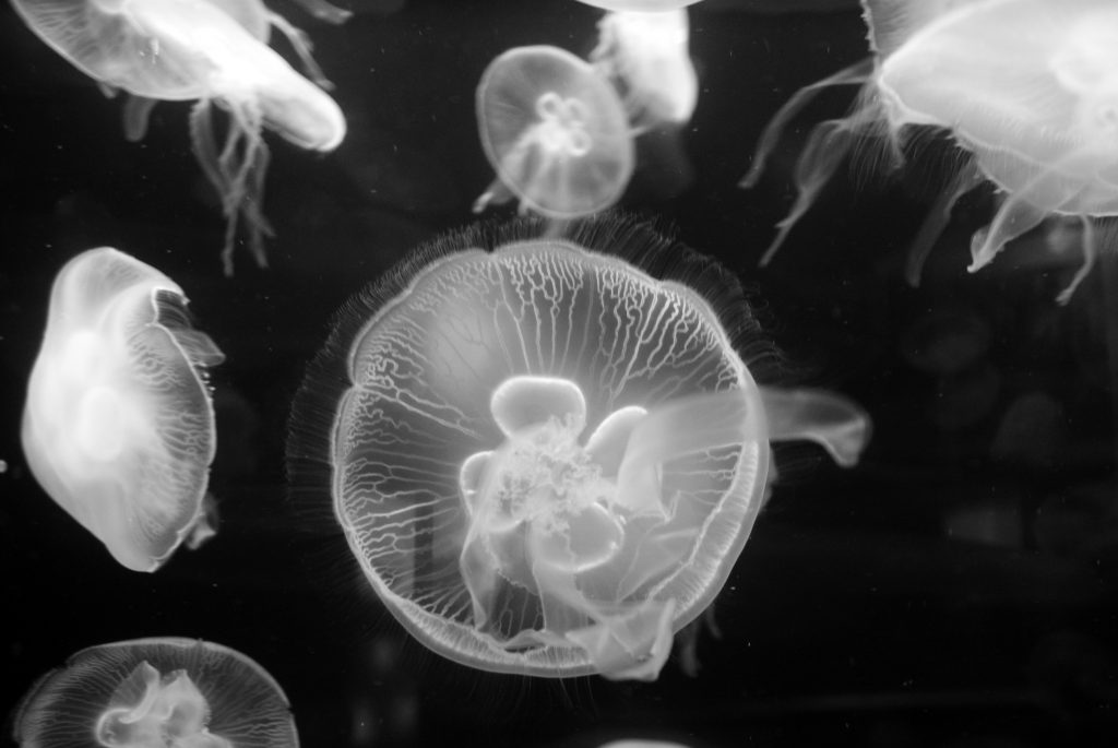 la poetica dell'imperfezione