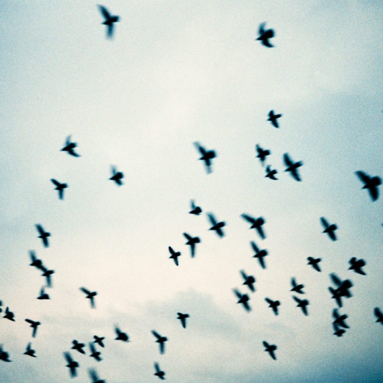 fotografia metamorfica per business femmili